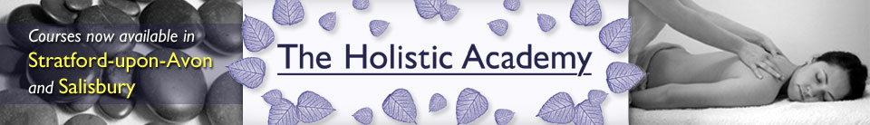 The Holistic Academy